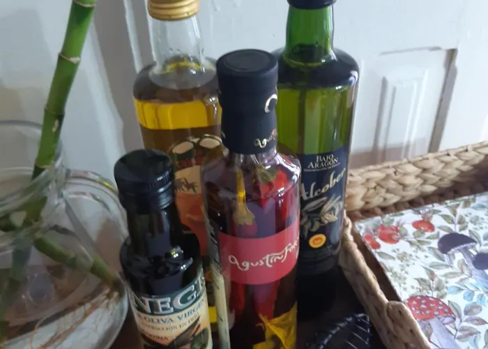 Musas Gastro 民宿 Valdealgorfa